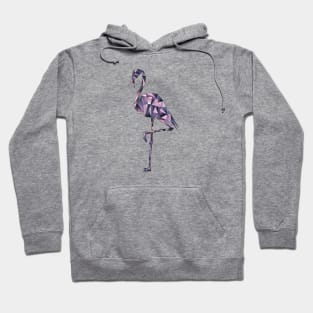 Gradient Flamingo Hoodie